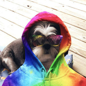 Meet your Posher, Tammy